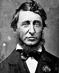 Henry David Thoreau 1817 –
1862