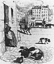 cholera epidemic 1849