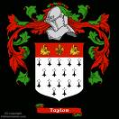Taylor surname